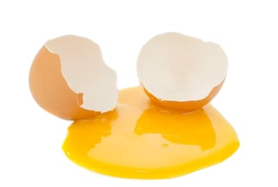 salmonella w jajku czy na skorupce